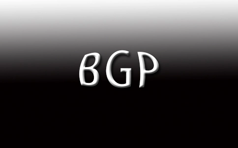 用户和网络怎么防御BGP劫持？