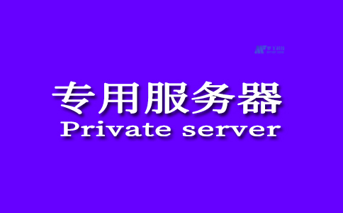 谁需要专用服务器？为什么需要它？