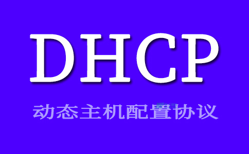 什么是DHCP服务器？