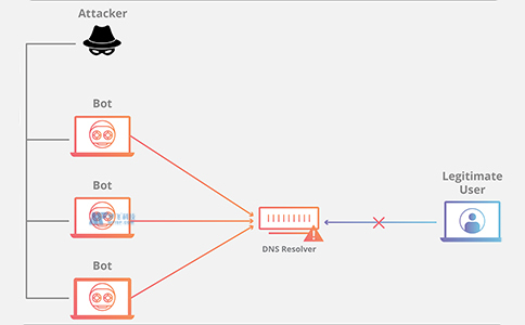 攻击网站服务器-DNS洪水攻击的工作原理