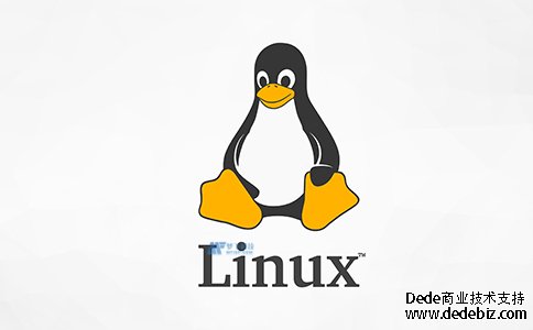 Linux托管与Windows托管的主要区别