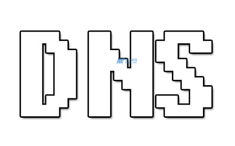 什么是DNS服务器？6种流行的DNS类型