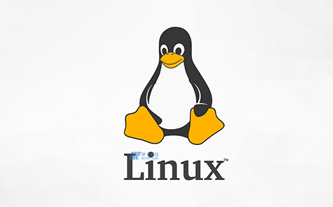 使Linux成为数据中心组成部分的因素