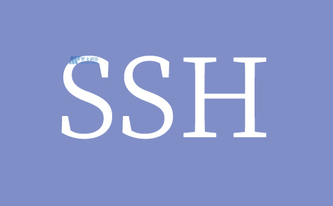 SSH、FTP和SFTP|安全连接到您的专用服务器
