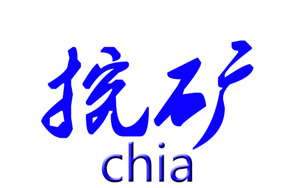 ftp服务器租用_买服務器挖chia币多久可以回本