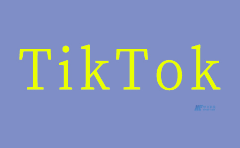 海外服务器连接策略：顺利对接TikTok的关键