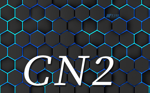 深入解析香港CN2服务器的网络架构
