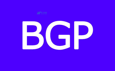 配置BGP服务器的详细步骤